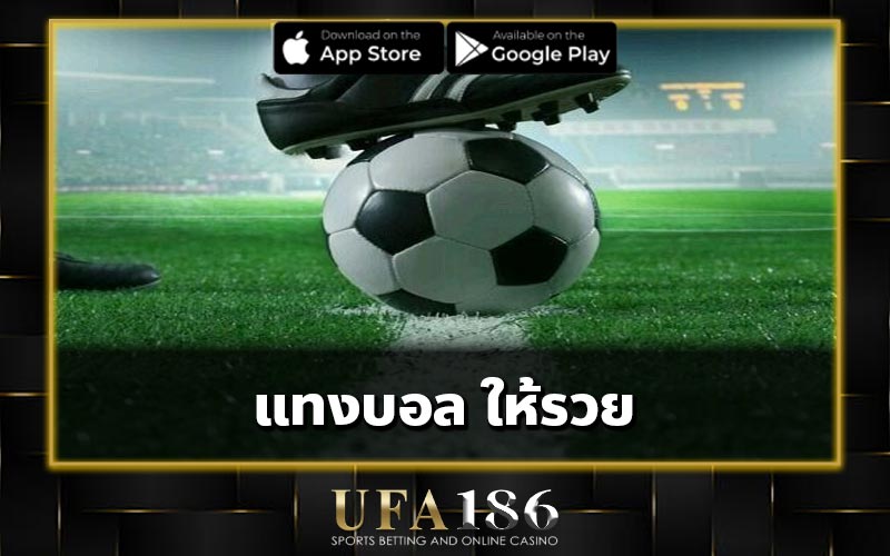 แทงบอล ให้รวย
