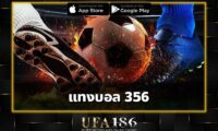 แทงบอล 356