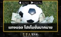 แทงบอล โปรโมชั่นมากมาย